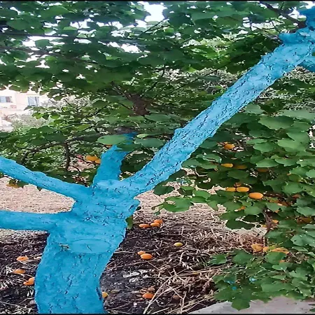 Matina Paros Apartment *