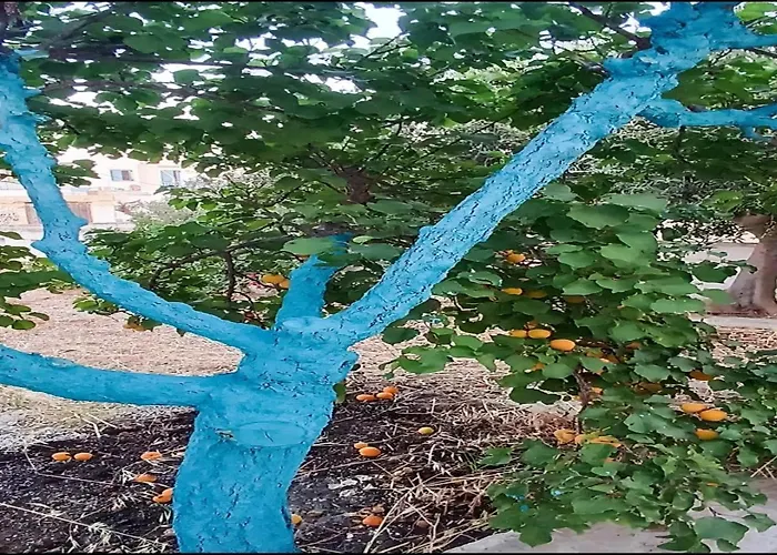 Matina Paros Apartment *