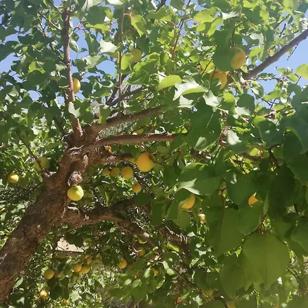 Matina Paros ناوسا