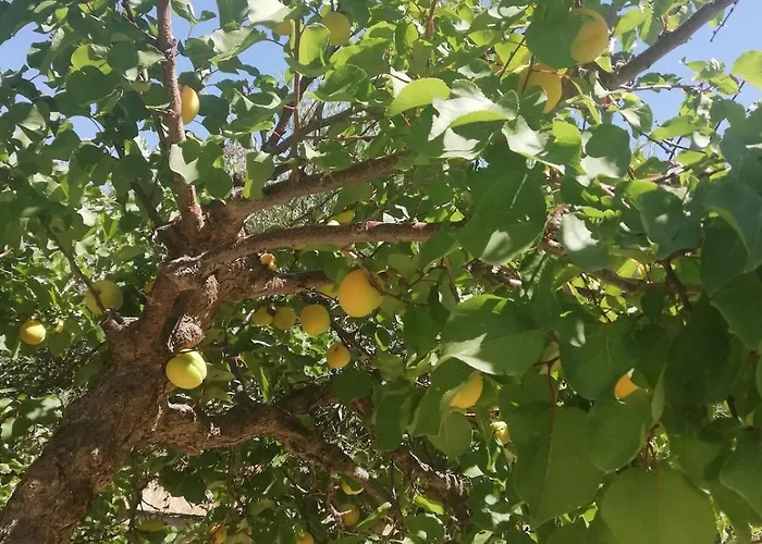 Matina Paros Naoussa